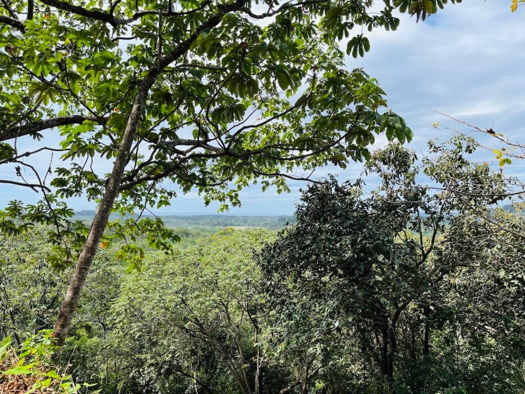 2 Acres with Ocean Views