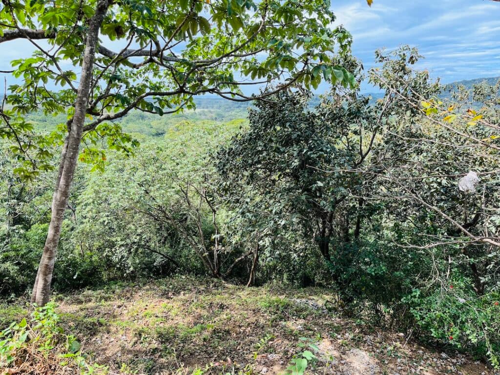 2 Acres with Ocean Views