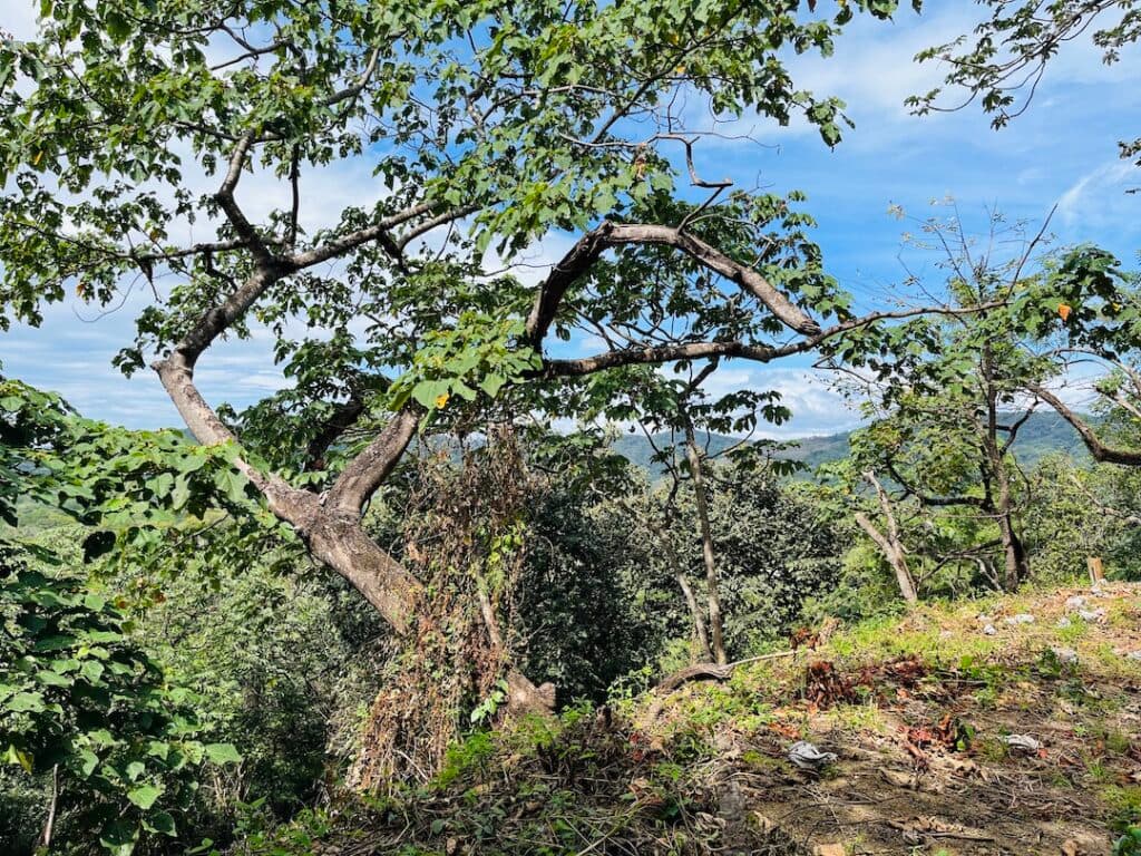 2 Acres with Ocean Views