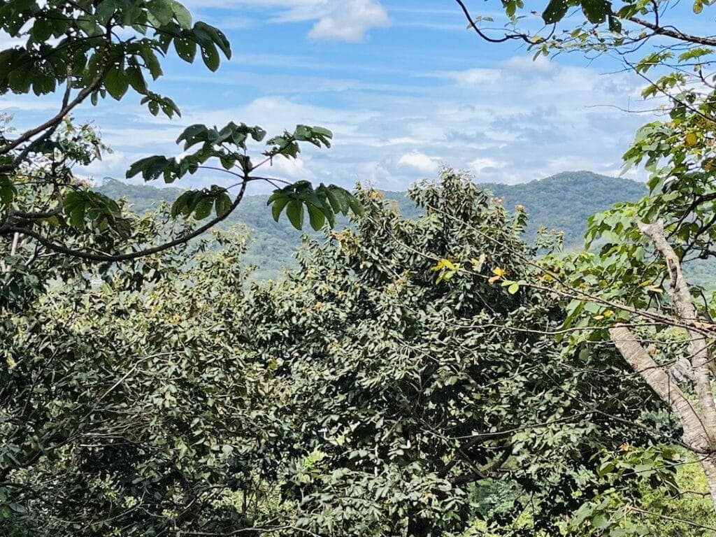 2 Acres with Ocean Views