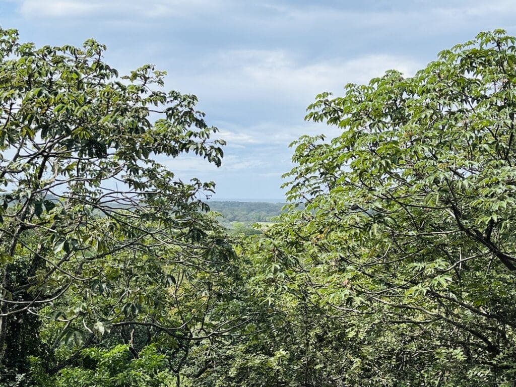 2 Acres with Ocean Views