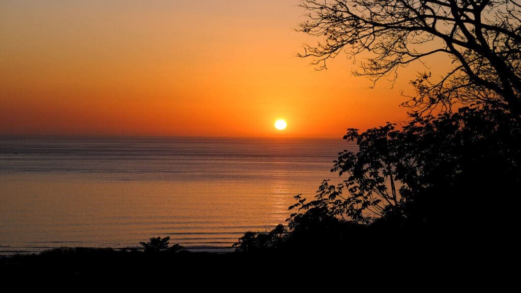 Luxury Ocean View Estate