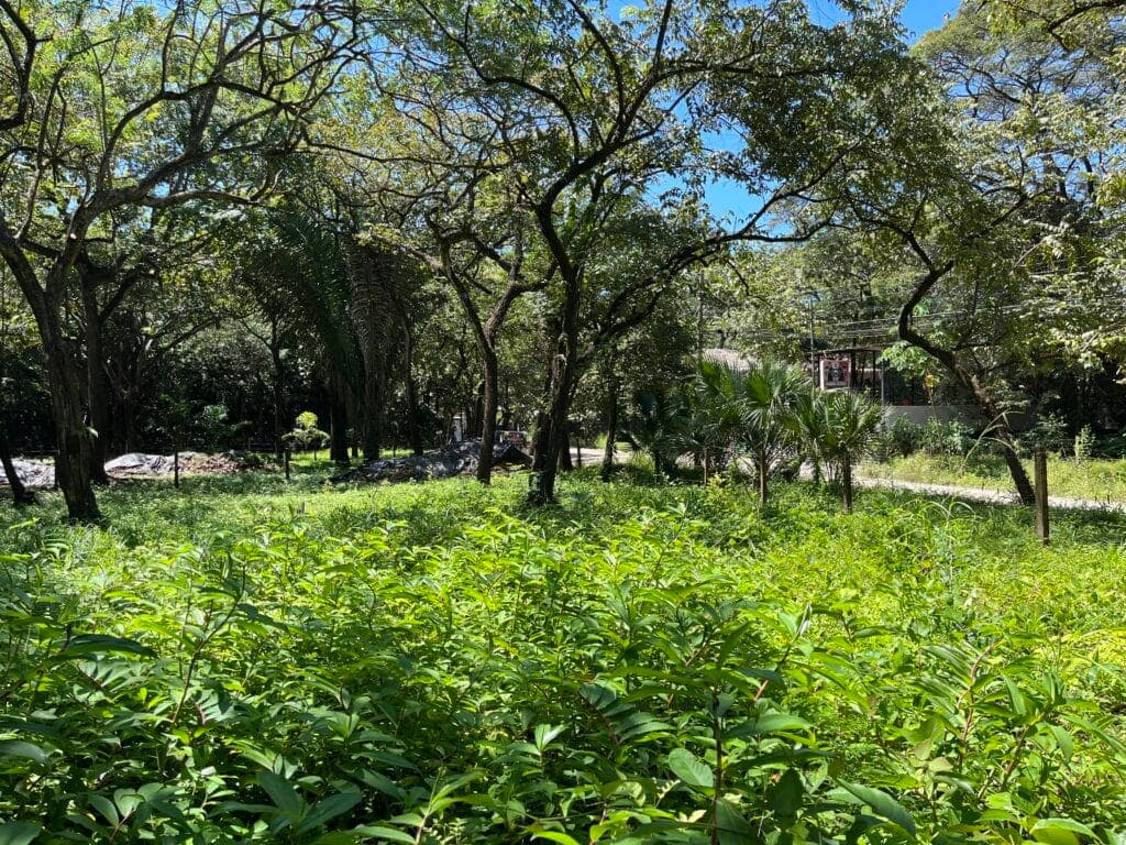 Prime Location Lot in North Guiones