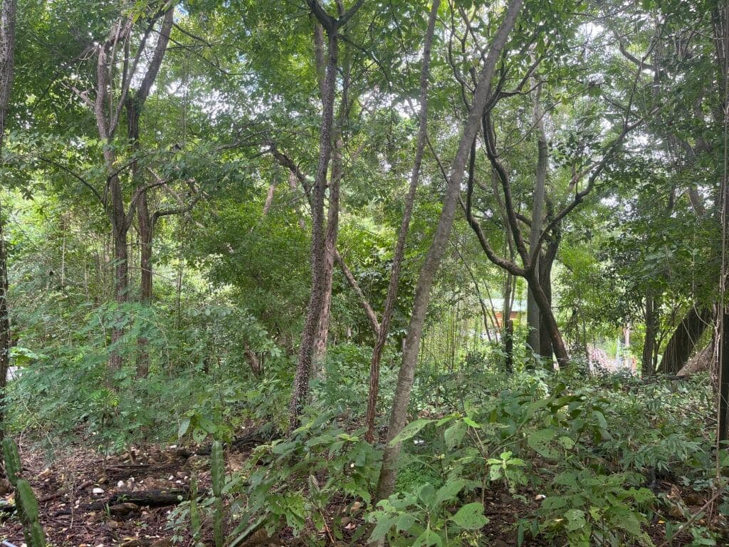 North Pelada Lot Close to Beach – Boca