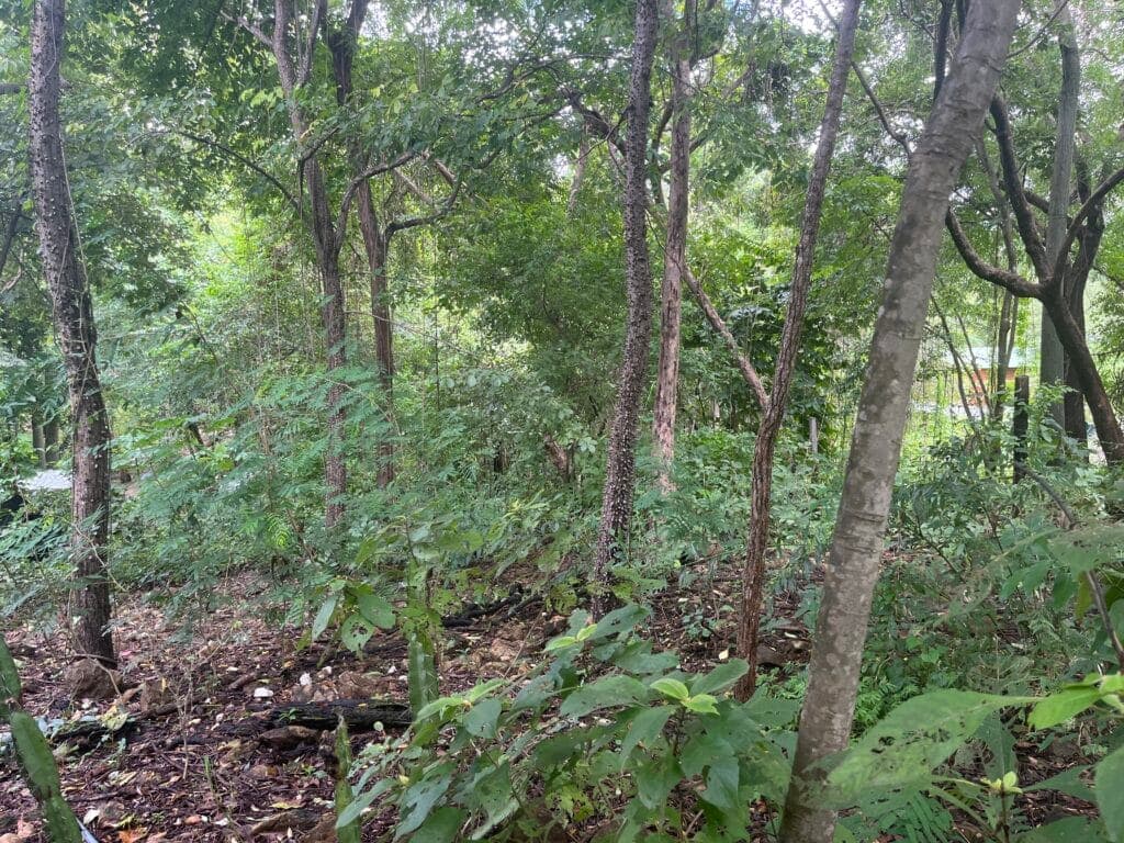 North Pelada Lot Close to Beach – Boca