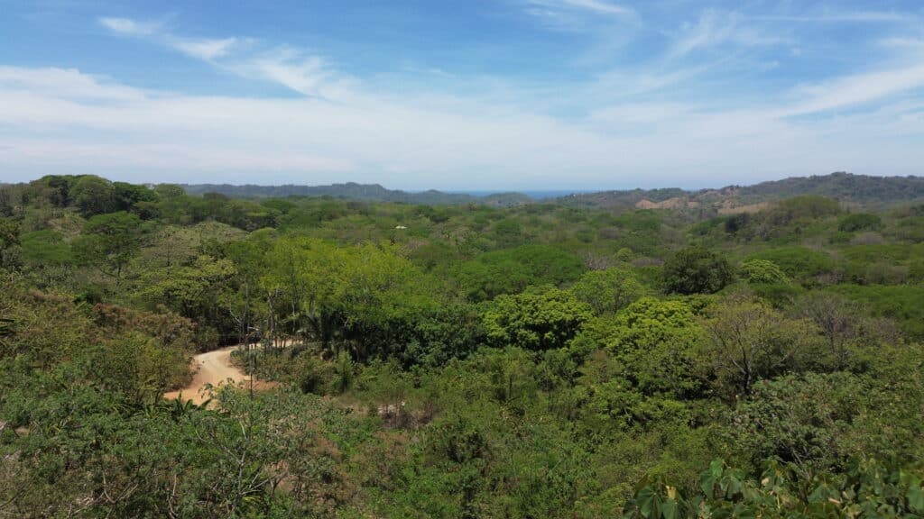 Shovel Ready Ocean View Mountain Estate