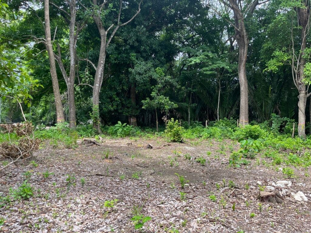 Tranquil Lot Bordering Green Space W/ Plans