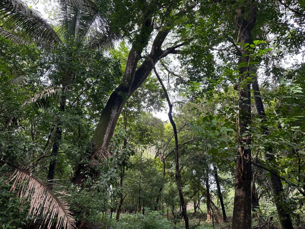 H Section Building Lot – Walk to Everything in Town