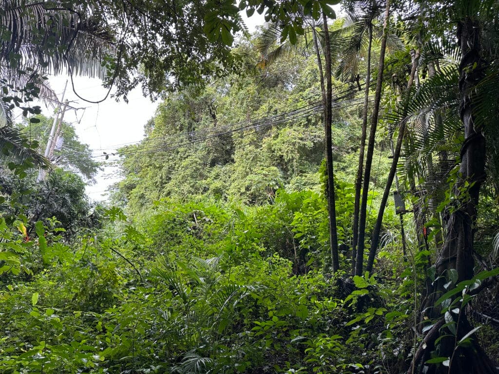 H Section Building Lot – Walk to Everything in Town