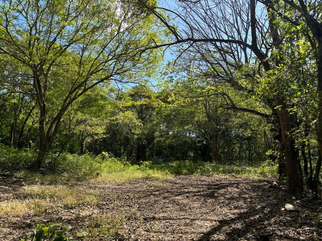 Peacful Lot in K Section