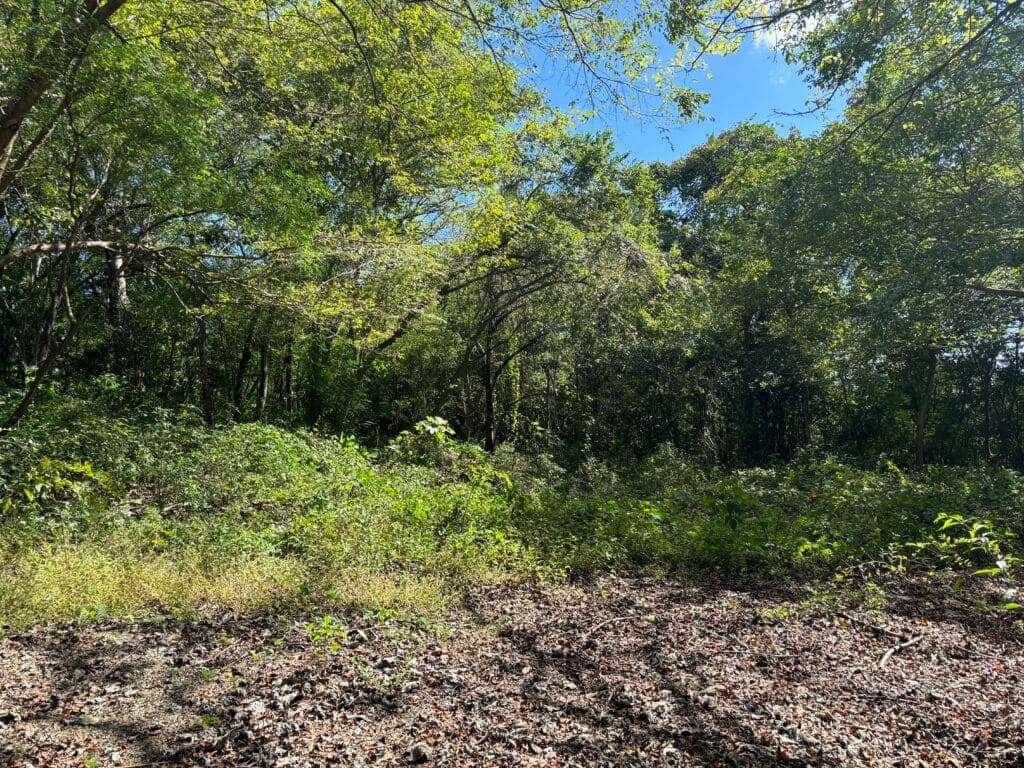 Peacful Lot in K Section