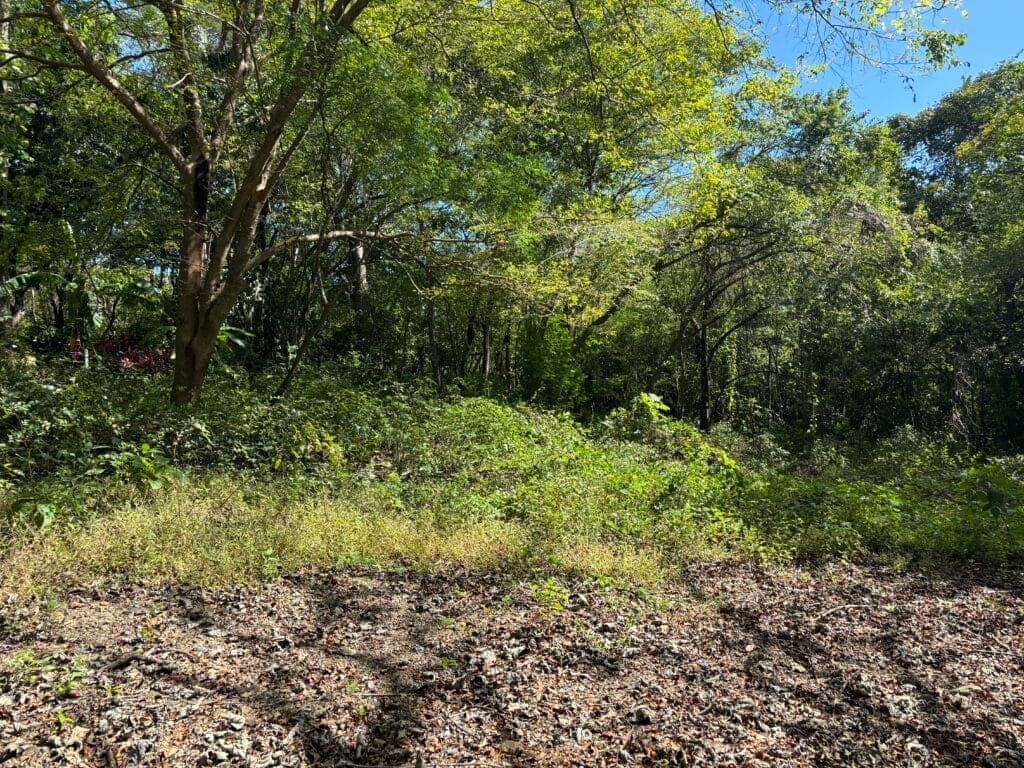 Peacful Lot in K Section