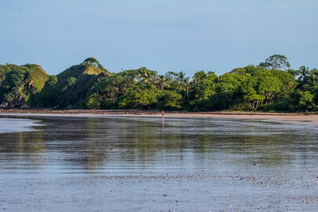 Peacful Lot in K Section