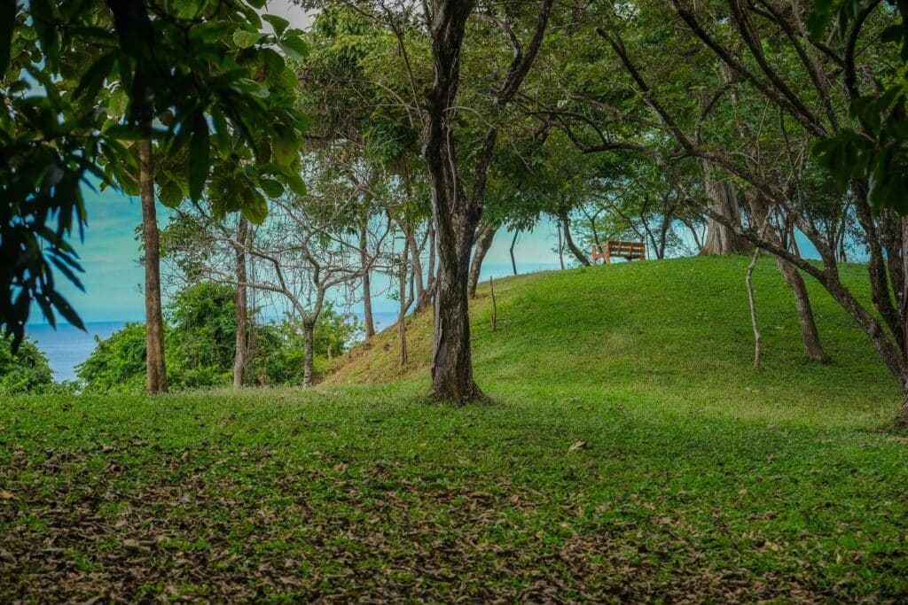 Located in front of a world-class wave, part of the Guanavista community