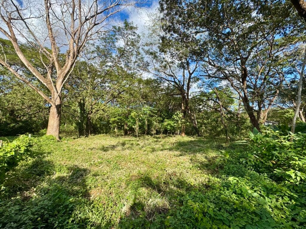 Private Pelada Lot - Gorgeous Trees