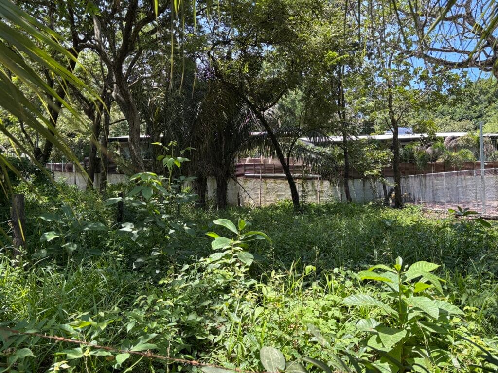 Prime Location Lot in North Guiones