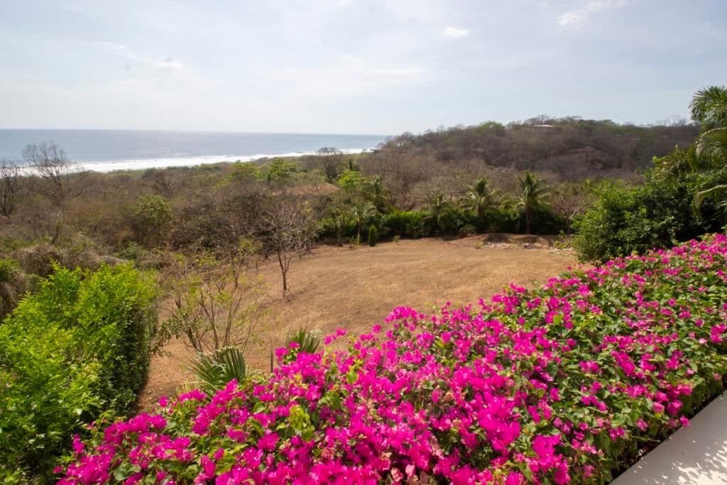 The Ultimate Osti Surfers Retreat