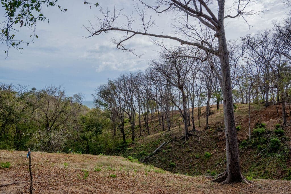 Guanavista Lot A8 - Close Walk to Surf and Amenities