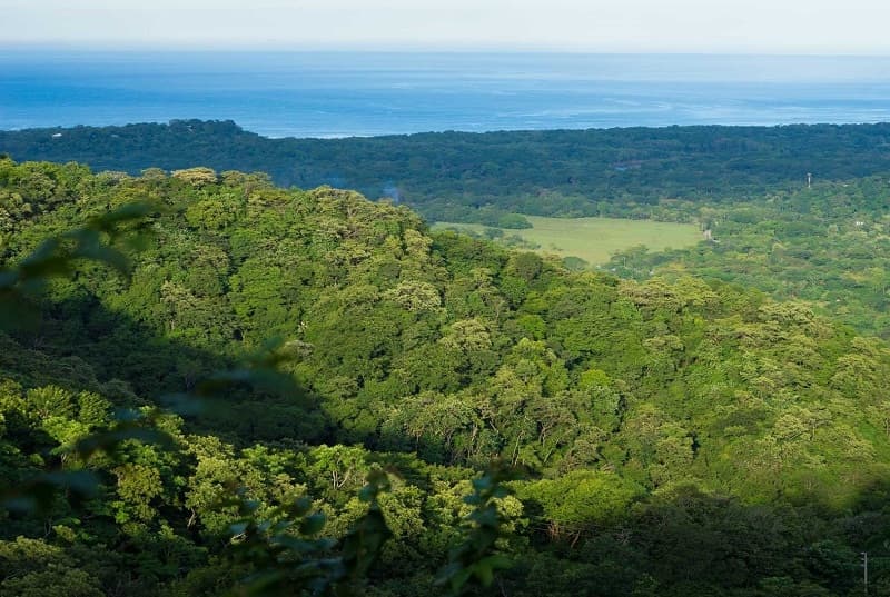 Fortress of Solitude Container Studio on 5000m² with Panoramic Ocean Valley Mountain Views