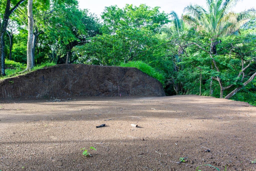 Well Priced Guiones Lot