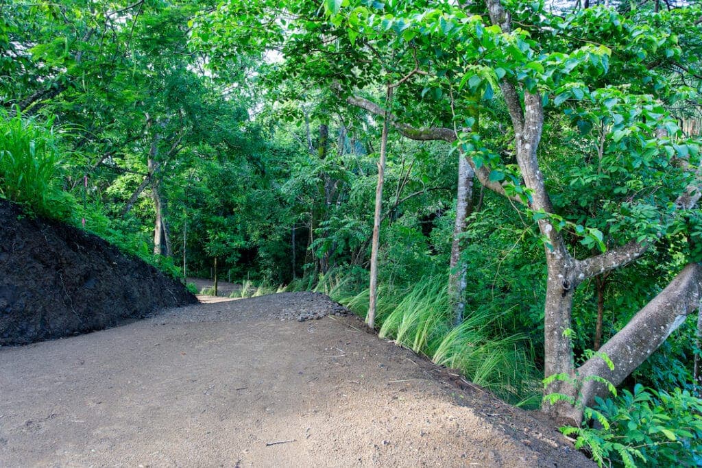 Well Priced Guiones Lot