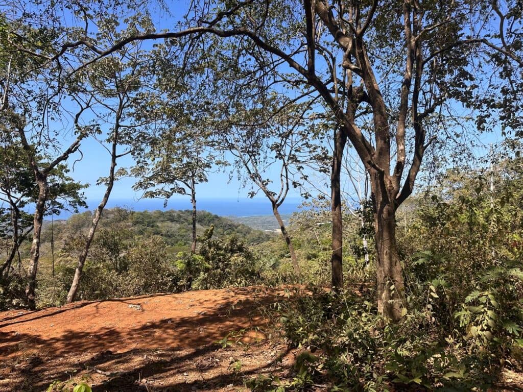 1 Hectare Multi-Use in San Juan