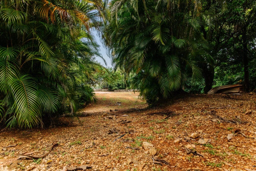 Secluded Las Huacas Lot Overlooking the Surf of Guiones